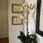 Апартаменты Magnifique 2 Pieces De 65m2 -quartier Des Musiciens Ницца