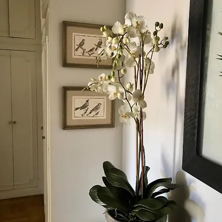 Apartamento Magnifique 2 Pieces De 65m2 -quartier Des Musiciens Niza