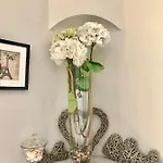 Magnifique 2 Pieces De 65m2 -quartier Des Musiciens